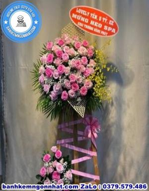 Hoa Khai Trương 44